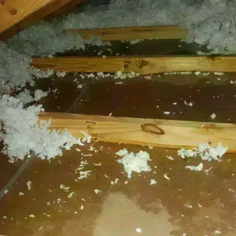 Attic Water Damage in Cave Junction, OR