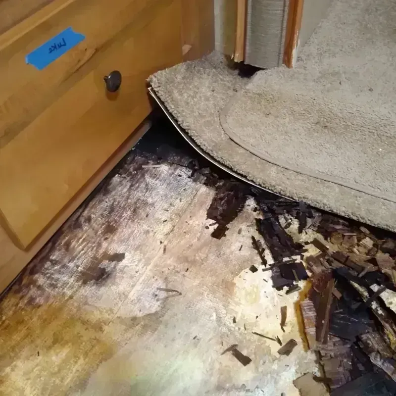 Wood Floor Water Damage in Cave Junction, OR